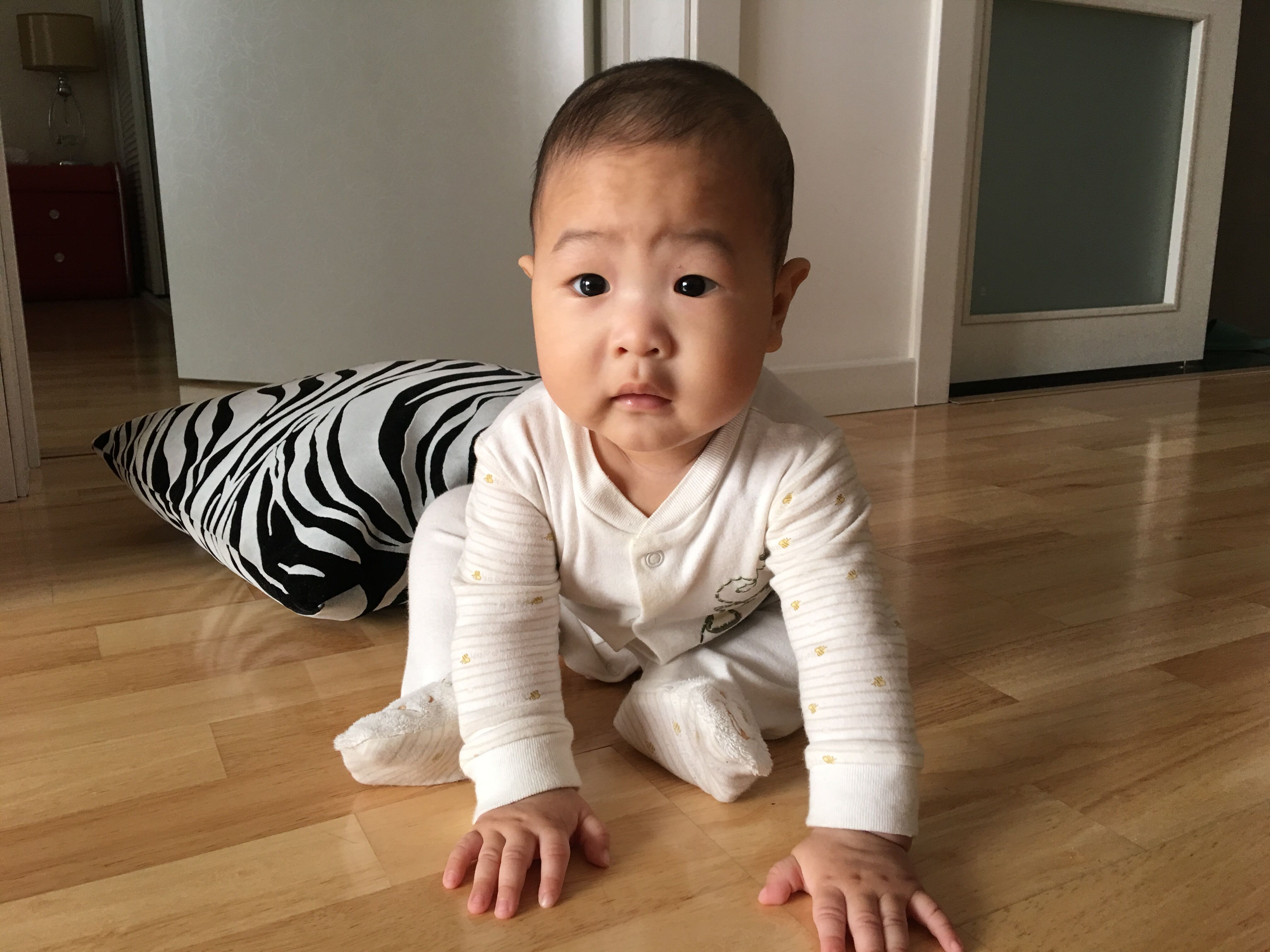 QQ圖片20170327112300.jpg